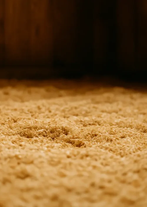 ChatGPT Image Nov 27, 2025, 09_45_28 AM