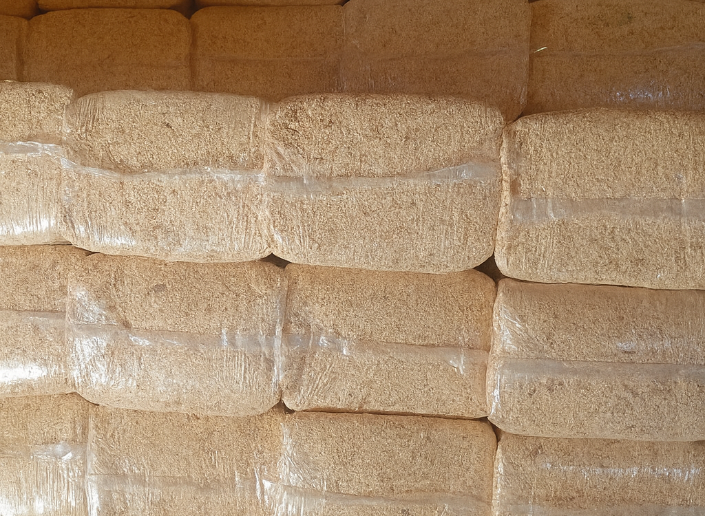 ChatGPT Image Nov 28, 2025, 07_50_41 AM