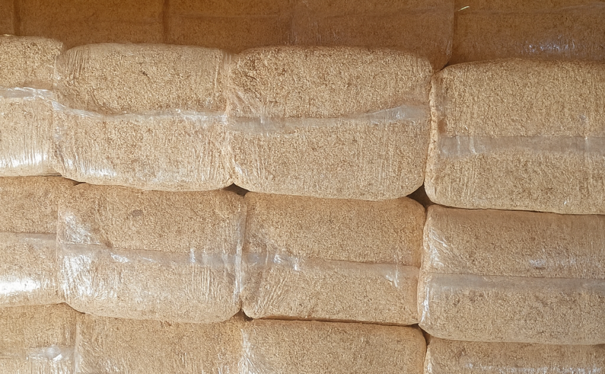 ChatGPT Image Nov 28, 2025, 07_50_41 AM